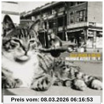 Billy Bragg & Wilco Mermaid Avenue Vol.2