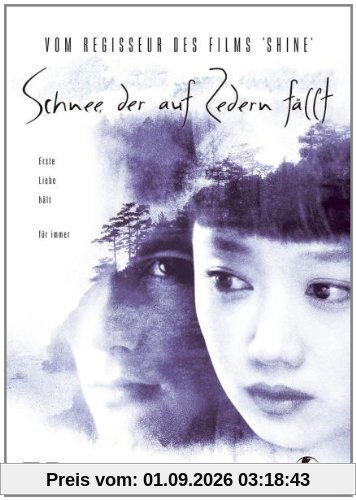Schnee, der auf Zedern fällt