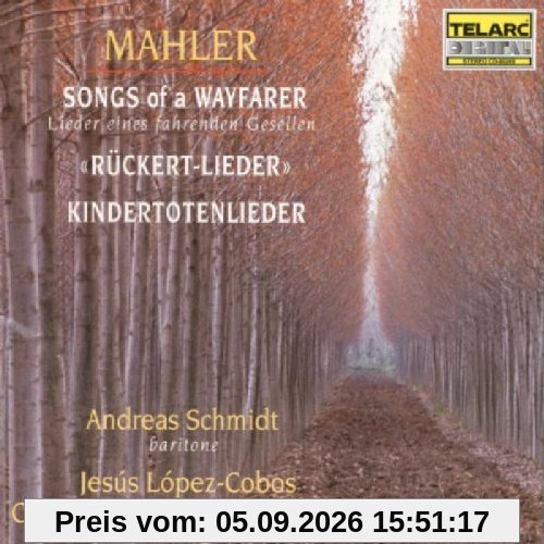 Lieder Eines fahrenden Gesellen