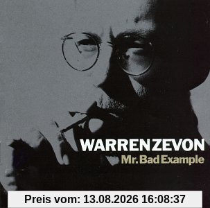 Mr Bad Example