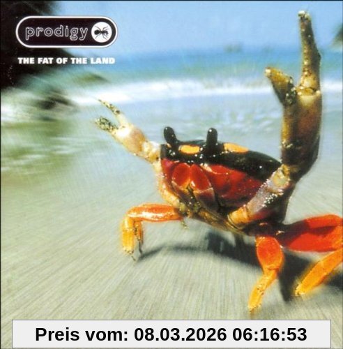 The Prodigy The Fat Of The Land