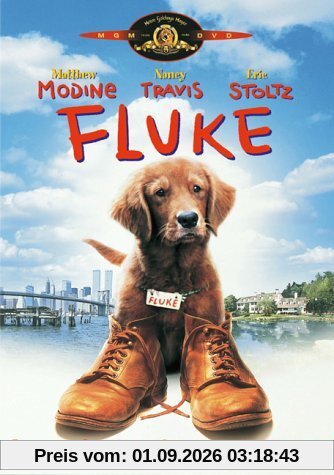 Fluke