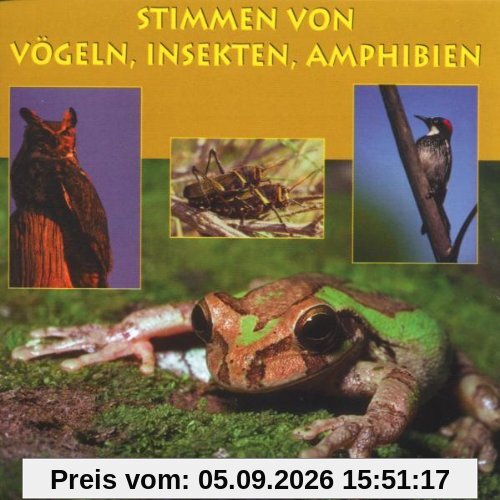 Stimmen V.Vögeln,Insekten,Amph