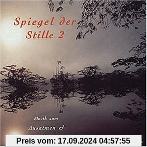 Spiegel der Stille 2