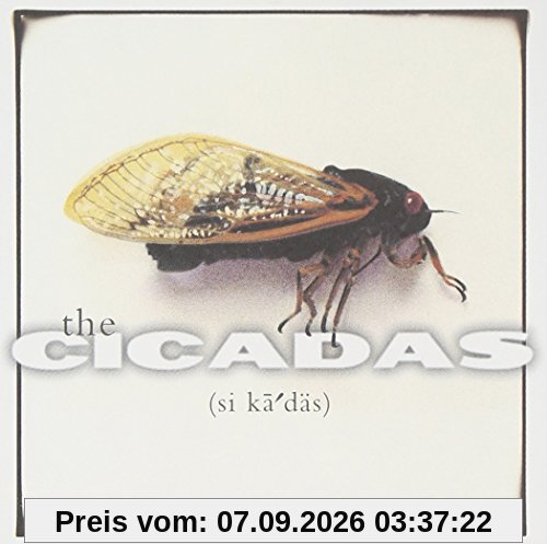 Cicadas