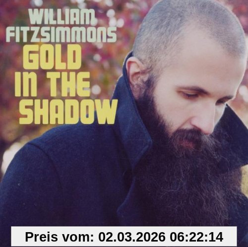 William Fitzsimmons Gold In The Shadow