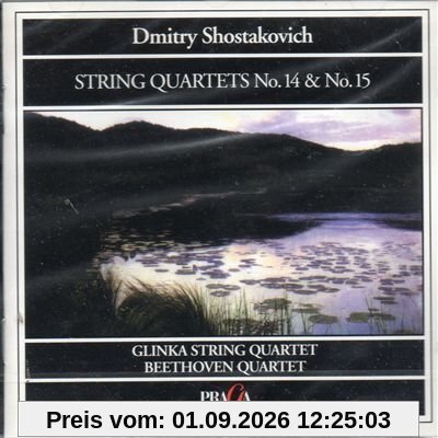 Streichquartett 14+15