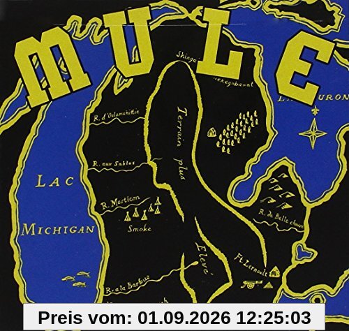 Mule