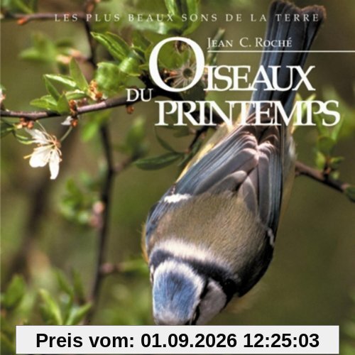 Oiseaux Du Printemps
