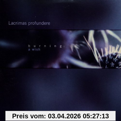 Lacrimas Profundere Burning, A Wish