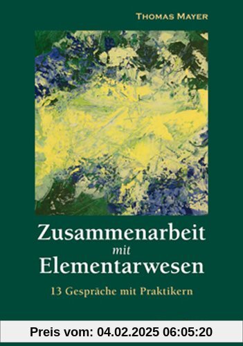 Zusammenarbeit mit Elementarwesen: 13 Gespräche mit Praktikern