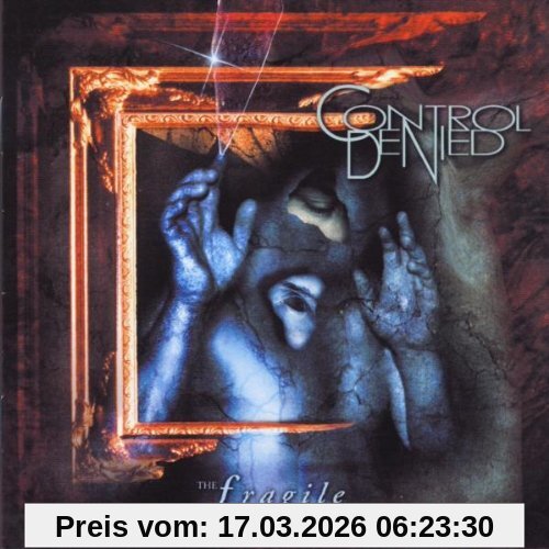 Control Denied The Fragile Art Of Existence