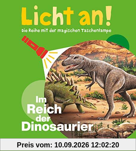 Im Reich der Dinosaurier: Licht an! (Licht an! Die Reihe mit der magischen Taschenlampe)