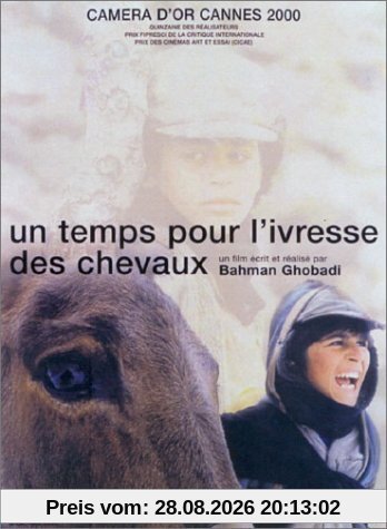Un temps pour l'ivresse des chevaux [FR Import]