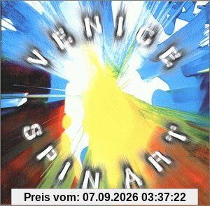 Spin Art (New Album 99)