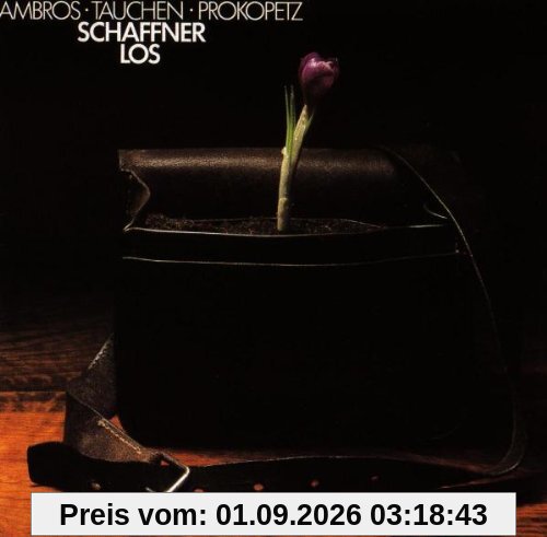 Schaffnerlos