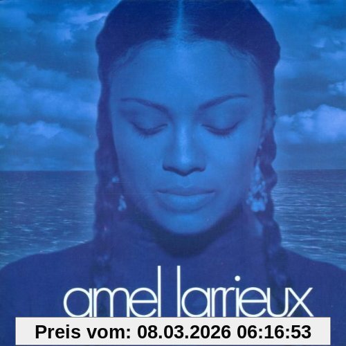 Amel Larrieux Infinite Possibilities