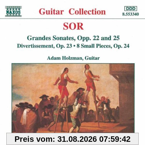 Adam Holzman Gitarrenmusik