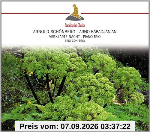 Schönberg: Verklärte Nacht,