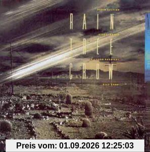 Rain Tree Crow (1991)