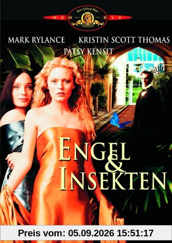 Engel und Insekten