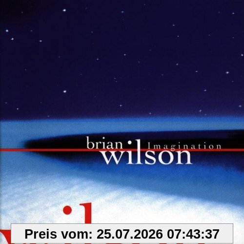 Brian Wilson Imagination