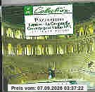 Paganini Caprices - La Campanella - Concerto pour Violon No. 1