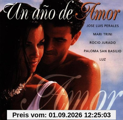 Un Ano de Amor