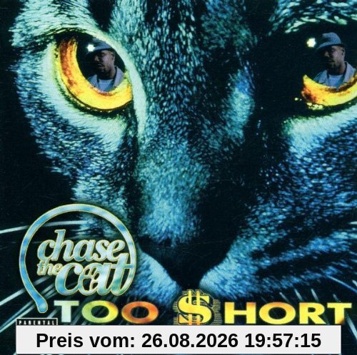 Chase the Cat