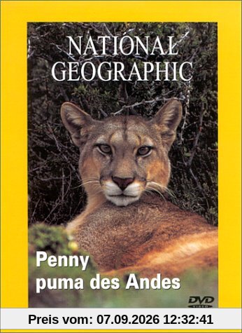 National Geographic : Penny, puma des Andes