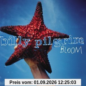 Bloom