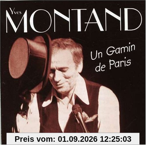 Un Gamin en Paris
