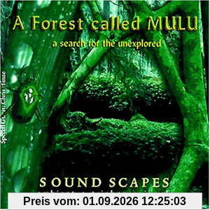 A Forest Called Mulu