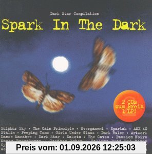 Spark in the Dark(Docd)