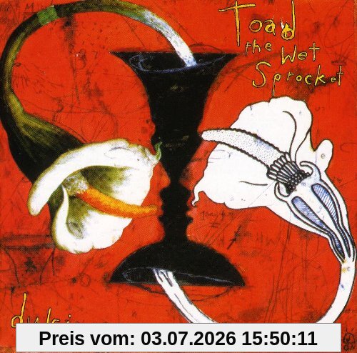 Toad the Wet Sprocket Dulcinea