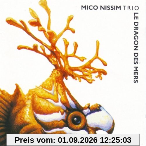 Le Dragon Des Mers