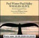 Whales Alive