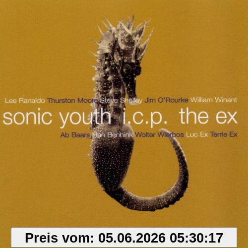 Sonic Youth+Icp+the Ex In The Fishtank