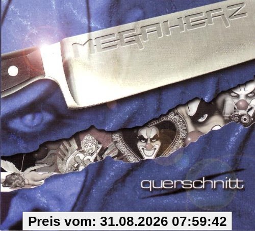 Querschnitt