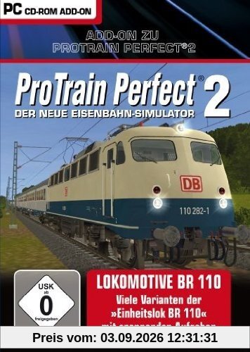 Pro Train Perfect 2 - BR 110
