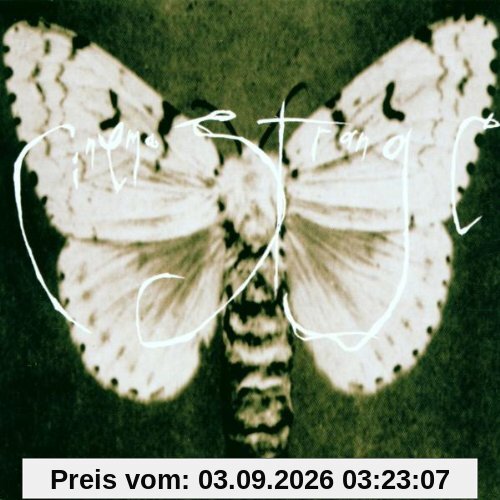 Cinema Strange