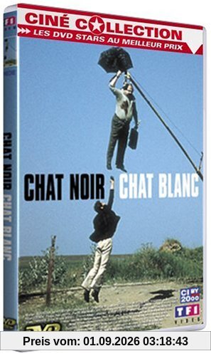 Chat noir chat blanc