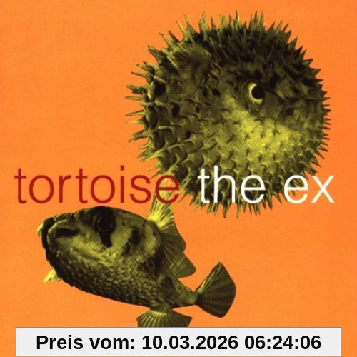 Tortoise & the Ex In The Fishtank