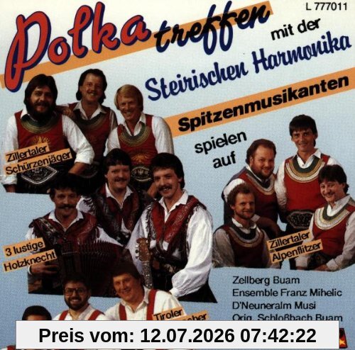 Various Polkatreffen Mit Der Steirischen Harmonika