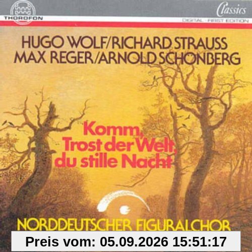 Komm Trost der Welt