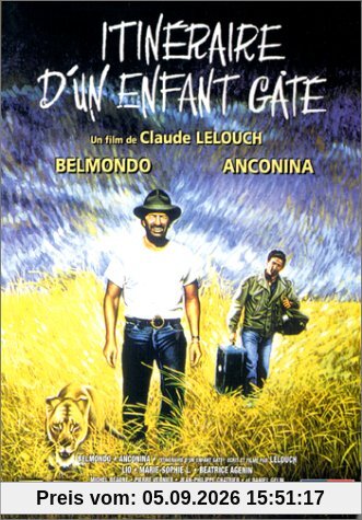 Itinéraire d'un enfant gâté [FR Import]