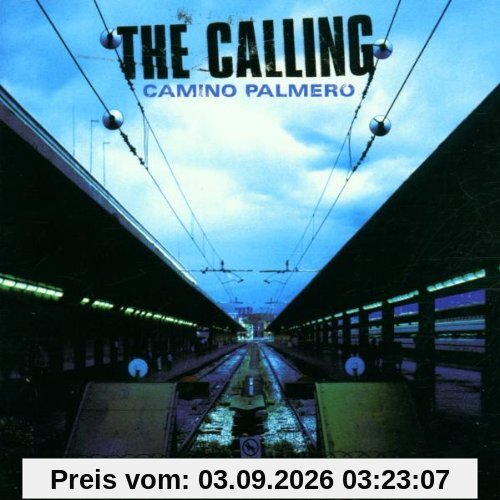 Camino Palmero