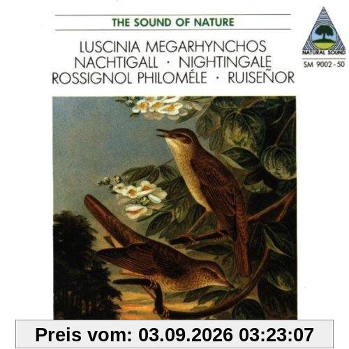 Nachtigall