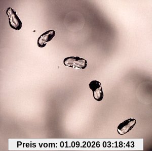 Up [Sacd]