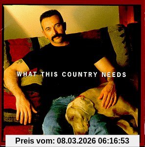 Aaron Tippin What This Country Needs